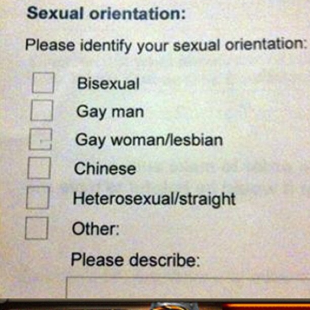 identify as chinese - Sexual orientation Please identify your sexual orientation Bisexual O Gay man Gay womanlesbian Chinese Heterosexualstraight Other Please describe