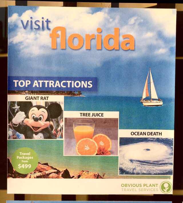 come to florida meme - Visit si florida Top Attractions Giant Rat Tree Juice Ocean Death Travel Packages from $499 Obvious Plant Travel Services