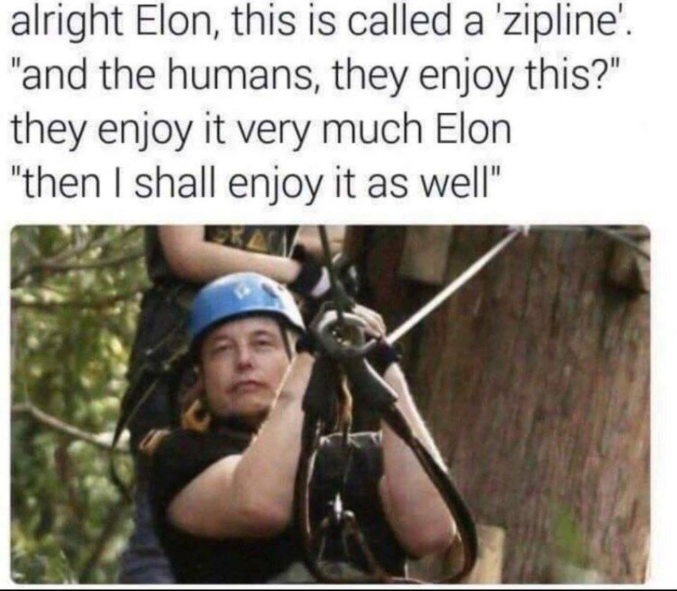 elon zipline - alright Elon, this is called a 'zipline'. "and the humans, they enjoy this?" they enjoy it very much Elon "then I shall enjoy it as well"