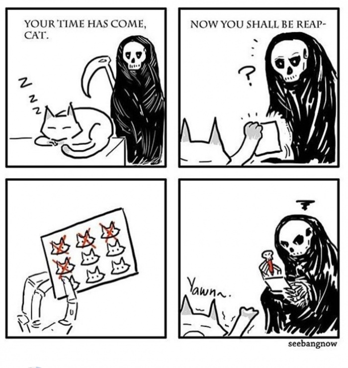 cat and death comic - Your Time Has Come, Cat. Now You Shall Be Reap Nnn seebangnow