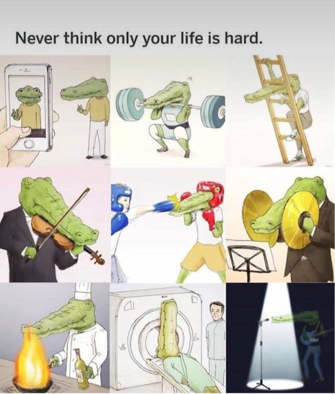 meme - crocodile life - Never think only your life is hard.