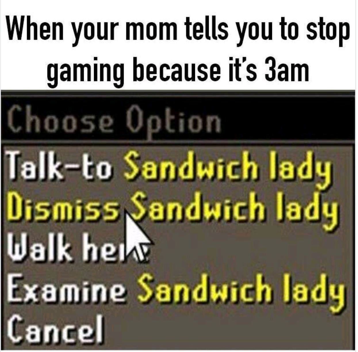 meme - best runescape meme - When your mom tells you to stop gaming because it's 3am Choose Option Talkto Sandwich lady Dismiss Sandwich lady Walk hent Examine Sandwich lady Cancel