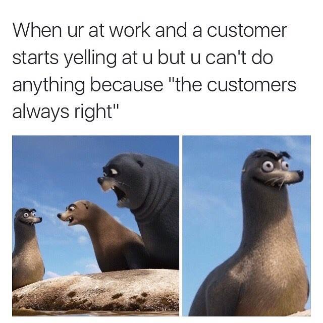 seal meme - When ur at work and a customer starts yelling at u but u can't do anything because "the customers always right"