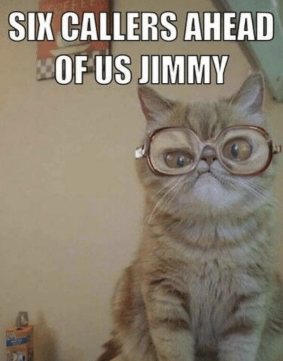 glasses for cats - Six Callers Ahead Of Us Jimmy