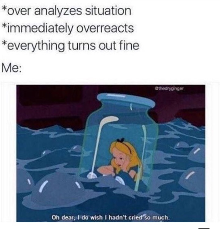 anxiety meme - over analyzes situation immediately overreacts everything turns out fine Me Cthedryginger Oh dear, I do wish I hadn't cried so much.