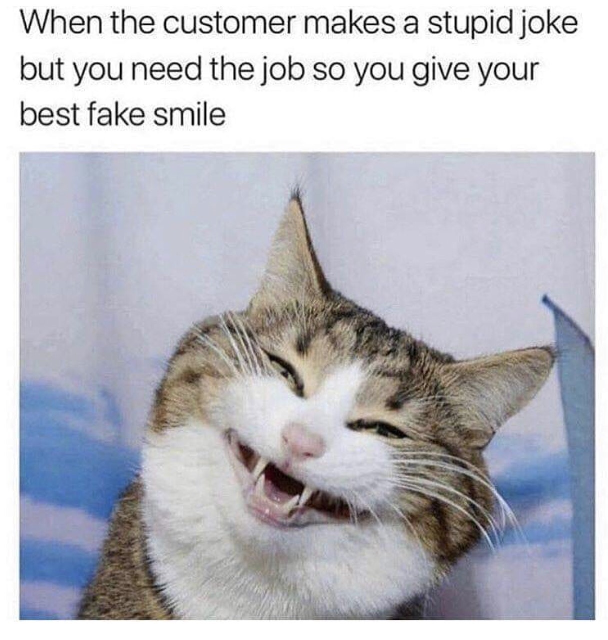 customer makes a stupid joke - When the customer makes a stupid joke but you need the job so you give your best fake smile