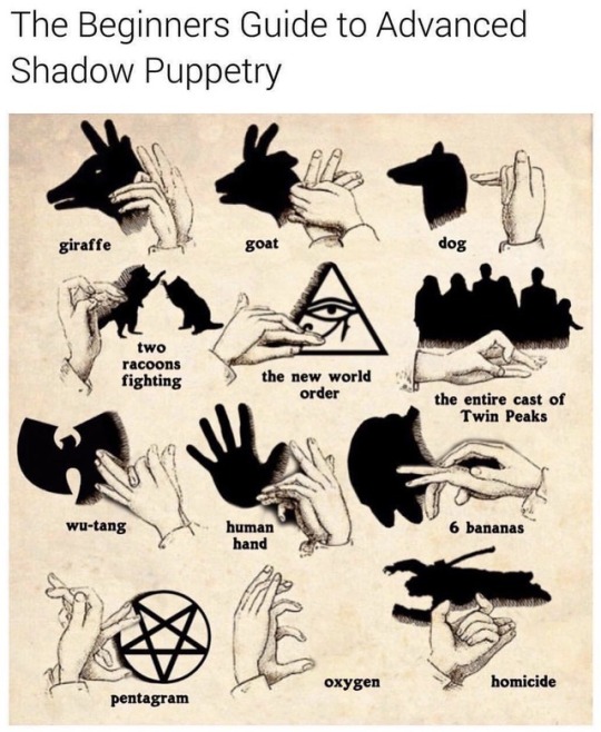 shadow puppet guide - The Beginners Guide to Advanced Shadow Puppetry giraffe goat dog two racoons fighting the new world order the entire cast of Twin Peaks wutang 6 bananas human hand oxygen homicide pentagram