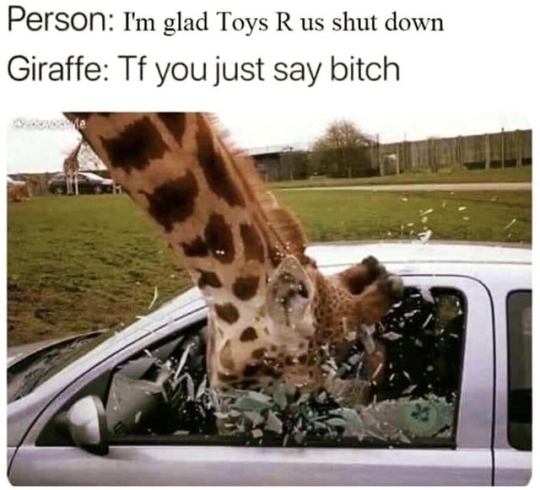 giraffe funny memes - Person I'm glad Toys R us shut down Giraffe Tf you just say bitch