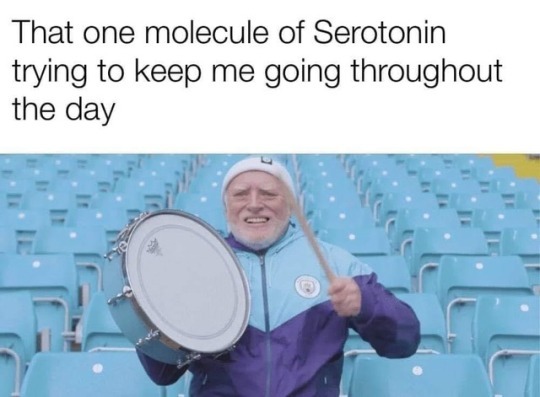 one molecule of serotonin meme - That one molecule of Serotonin trying to keep me going throughout the day
