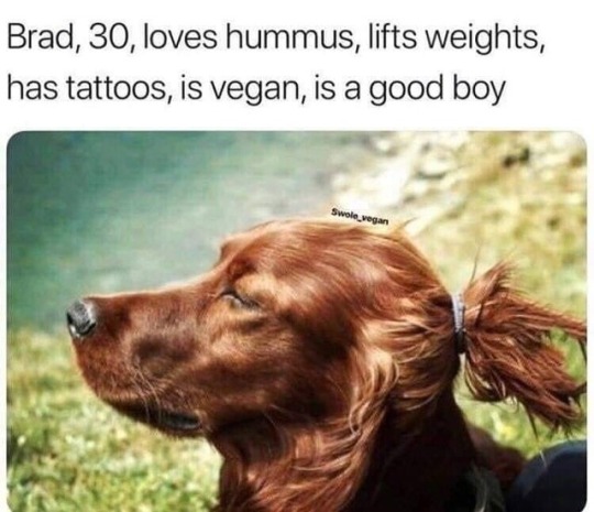 brad dog vegan - Brad, 30, loves hummus, lifts weights, has tattoos, is vegan, is a good boy Swole vegan