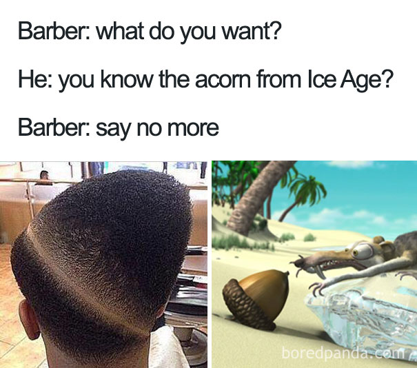 barber say no more meme - Barber what do you want? He you know the acorn from Ice Age? Barber say no more boredpanda.ca