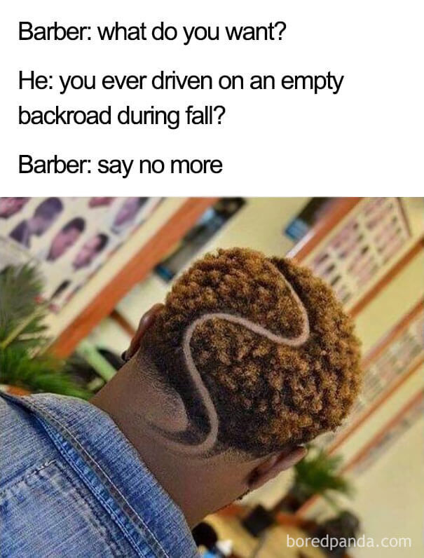 road haircut - Barber what do you want? He you ever driven on an empty backroad during fall? Barber say no more boredpanda.com