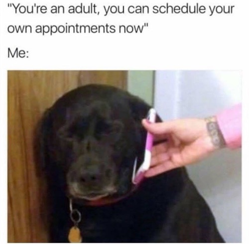 adulting memes - "You're an adult, you can schedule your own appointments now" Me