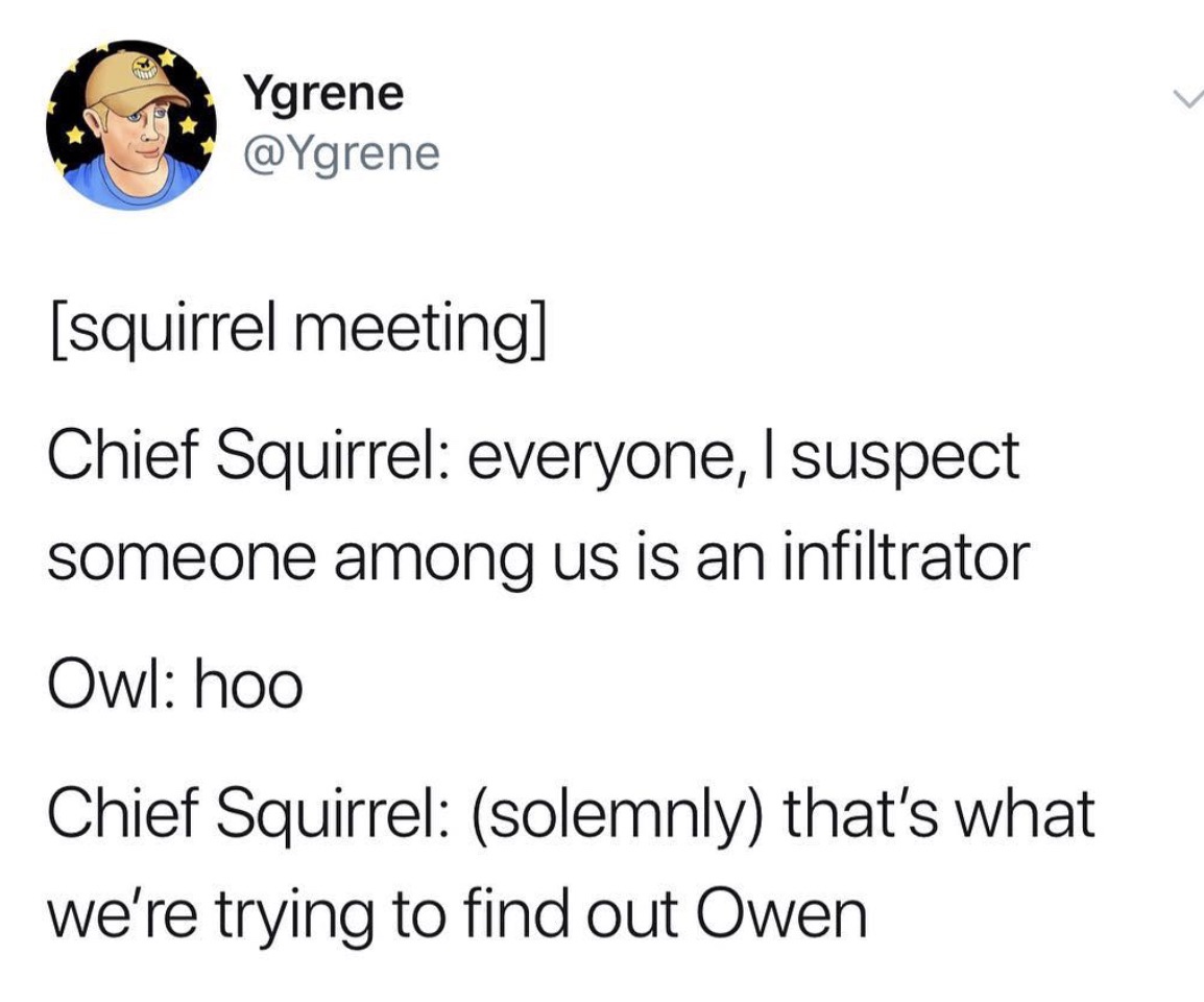 angle - Ygrene squirrel meeting Chief Squirrel everyone, I suspect someone among us is an infiltrator Owl hoo Chief Squirrel solemnly that's what we're trying to find out Owen