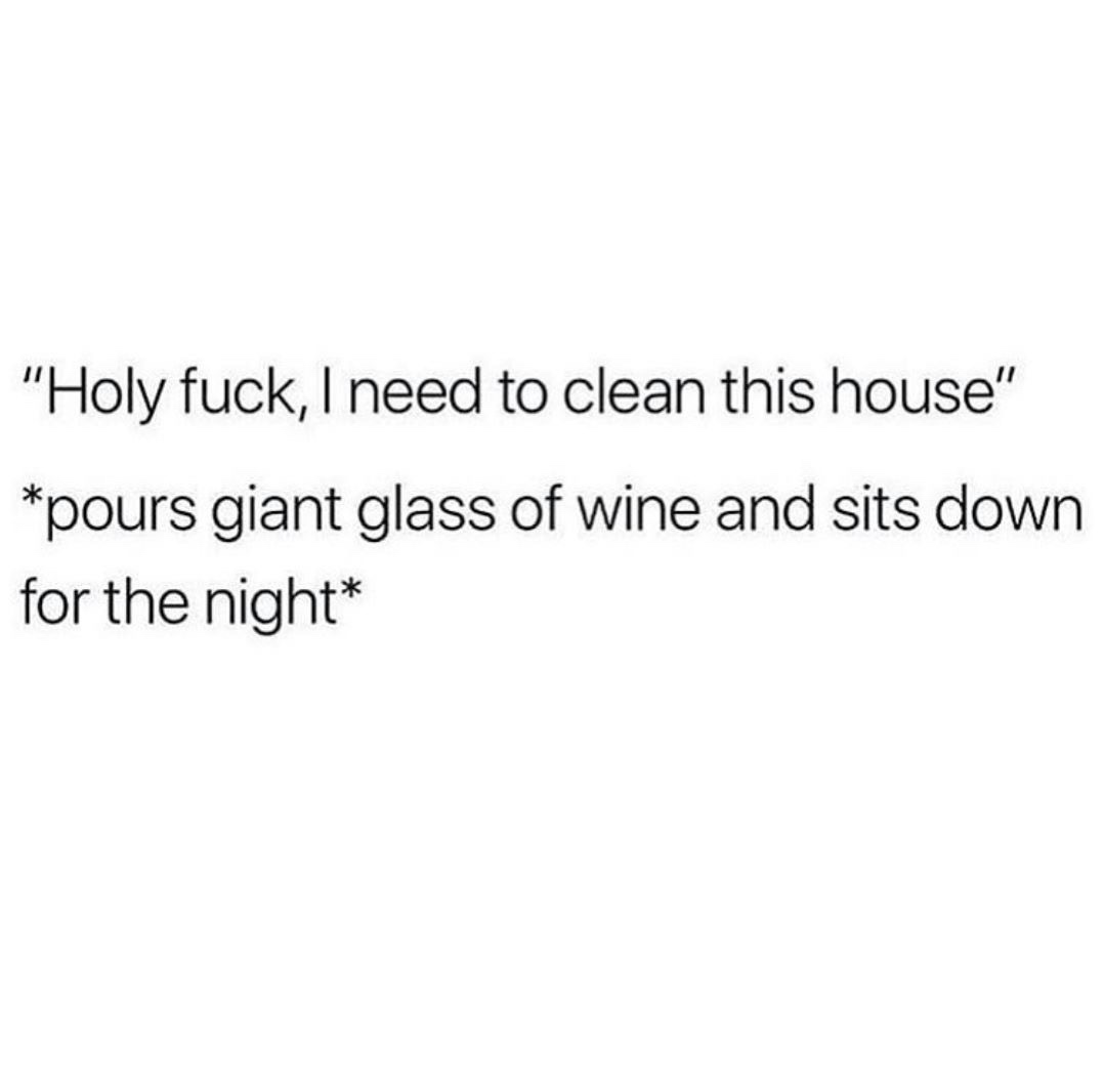 real shit funny quotes - "Holy fuck, I need to clean this house" pours giant glass of wine and sits down for the night