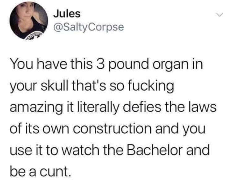 funny tweet in urdu - Jules Corpse You have this 3 pound organ in your skull that's so fucking amazing it literally defies the laws of its own construction and you use it to watch the Bachelor and be a cunt.