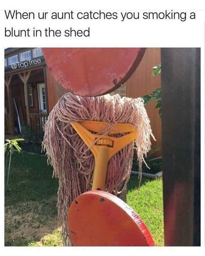 angry mop - When ur aunt catches you smoking a blunt in the shed Tree