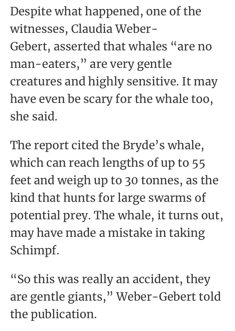 A Whale Accidentally Ate A Diver