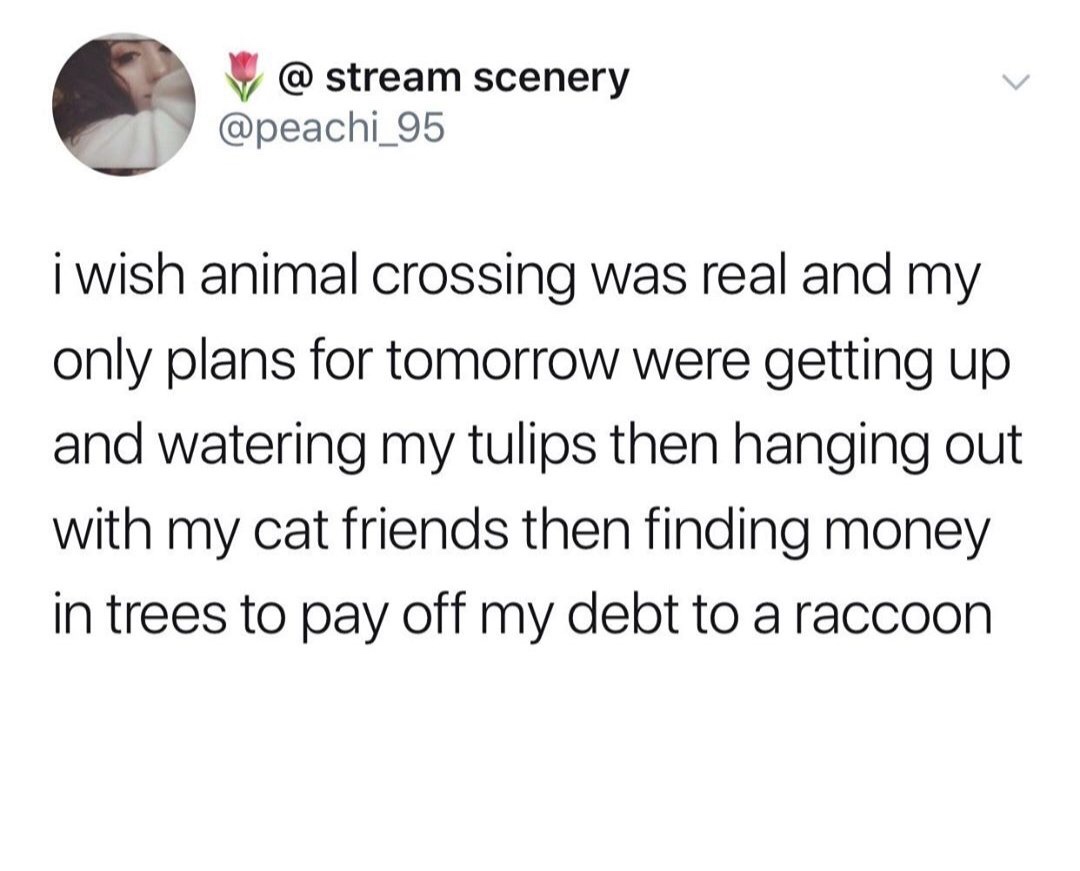 funny meme about angle - V @ stream scenery i wish animal crossing was real and my only plans for tomorrow were getting up and watering my tulips then hanging out with my cat friends then finding money in trees to pay off my debt to a raccoon