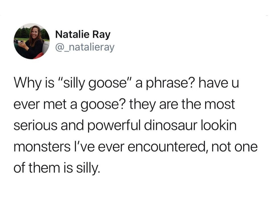 funny meme about you re the funny friend meme - Natalie Ray Why is "silly goose" a phrase? have u ever met a goose? they are the most serious and powerful dinosaur lookin monsters I've ever encountered, not one of them is silly.