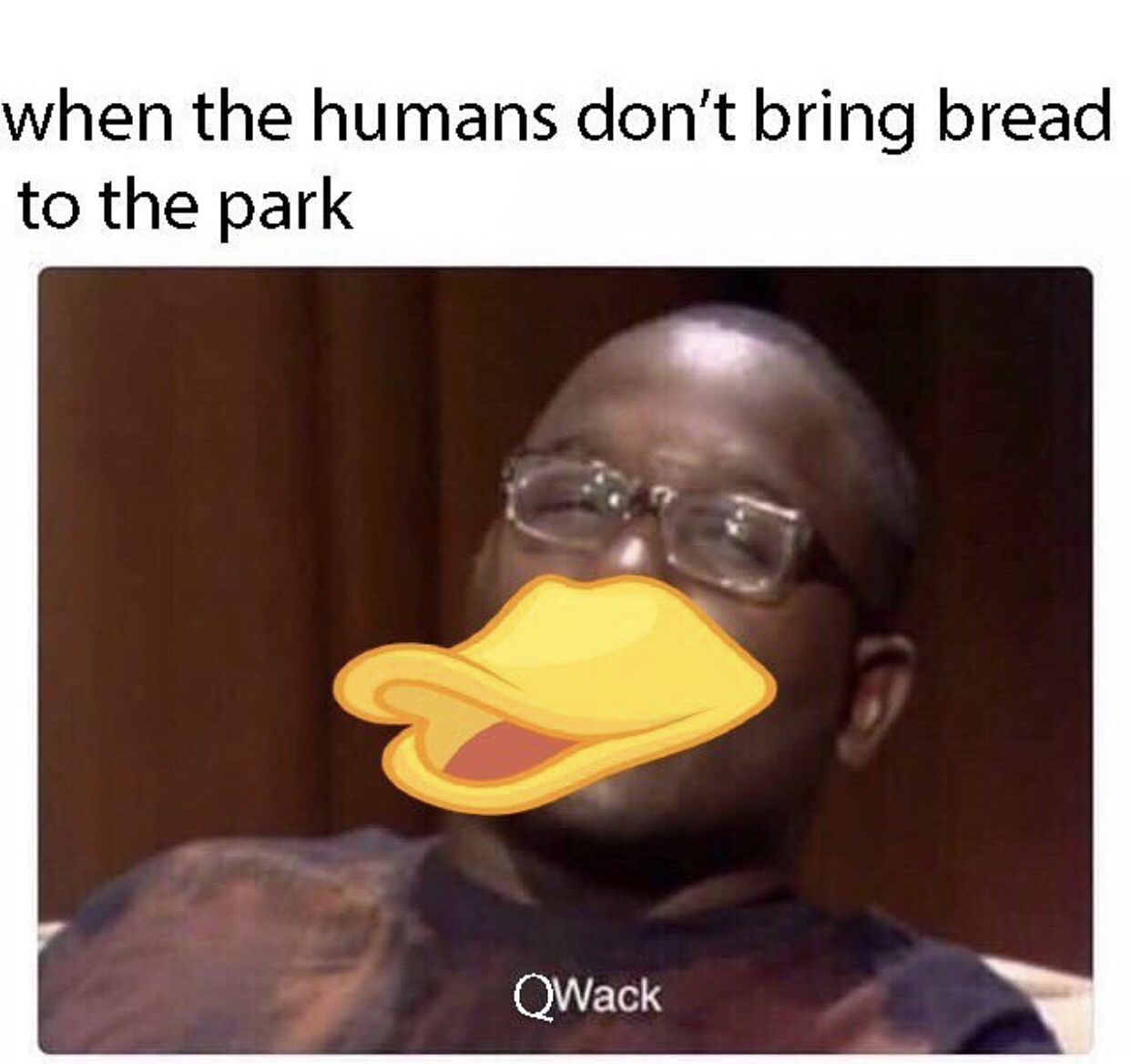 funny meme about qwack meme - when the humans don't bring bread to the park QWack