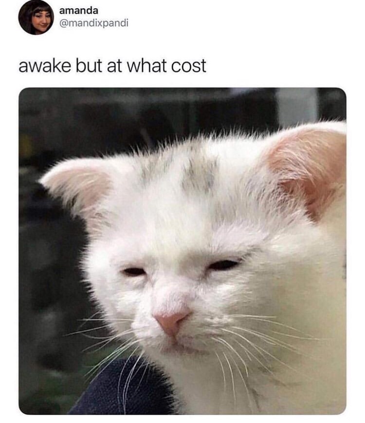 Funny meme of a tired looking cat with the caption 'awake but at what cost'