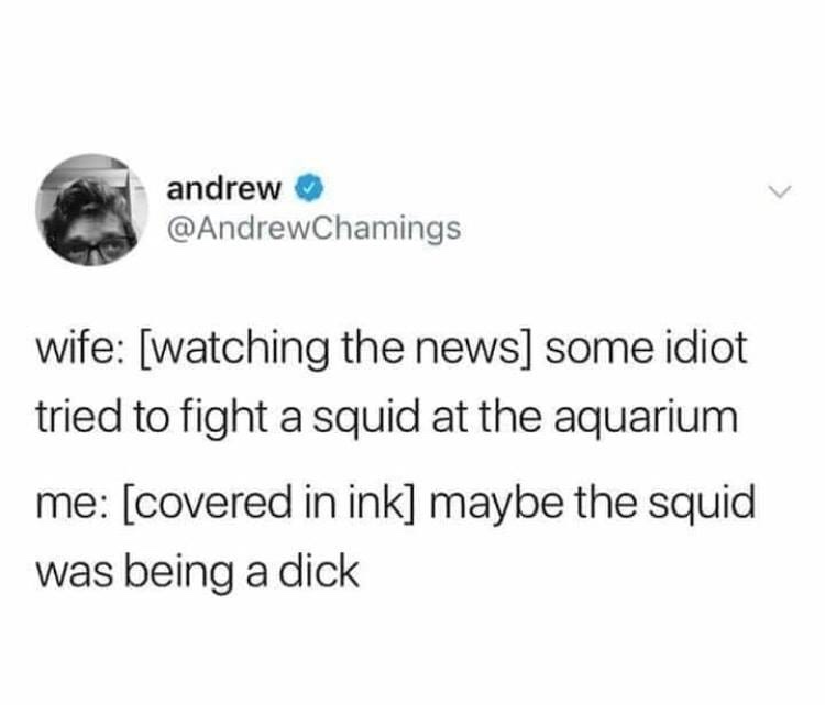 Funny meme tweet that talks about a squid fighting at an aquarium