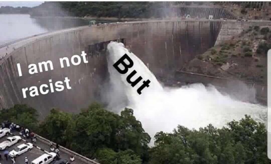 Funny meme of a dam bursting with the text 'i am not racist, but'