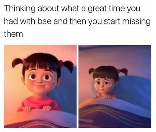 Funny and sweet meme about missing your partner