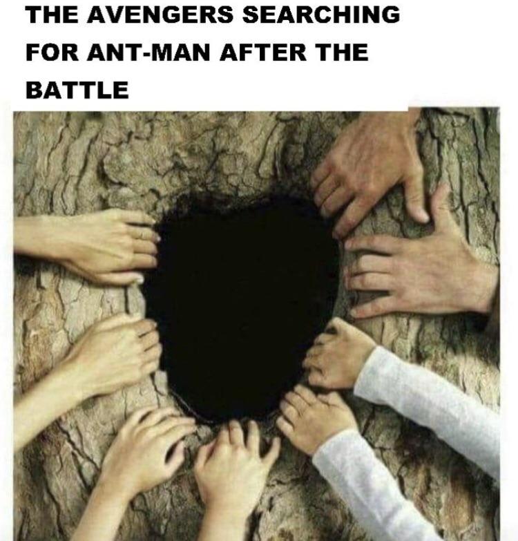 Funny meme of a bunch of hands around the opening of a hole in a tree with the text 'the avengers searching for ant-man after the battle'