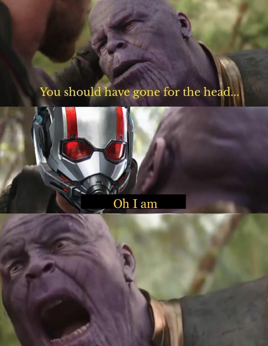 Avengers meme with ant man and thanos