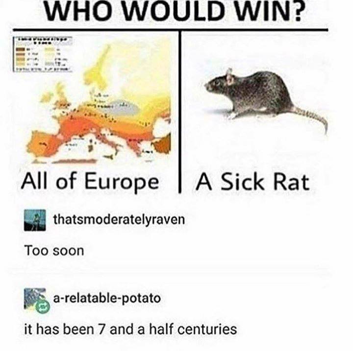 would win all of europe a sick rat - Who Would Win? All of Europe A Sick Rat thatsmoderatelyraven Too soon Sarelatablepotato it has been 7 and a half centuries