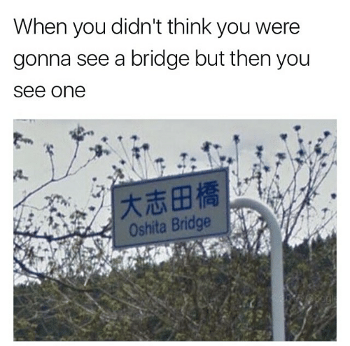 funny meme of a oshita bridge - When you didn't think you were gonna see a bridge but then you see one tid Oshita Bridge