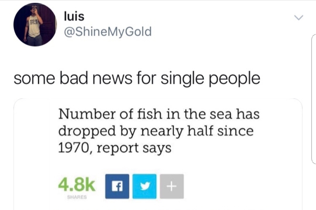 funny meme of a diagram - luis some bad news for single people Number of fish in the sea has dropped by nearly half since 1970, report says