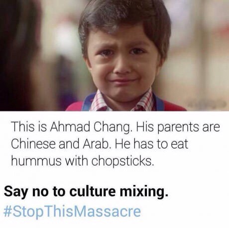 funny meme of a hummus with chopsticks - This is Ahmad Chang. His parents are Chinese and Arab. He has to eat hummus with chopsticks. Say no to culture mixing.