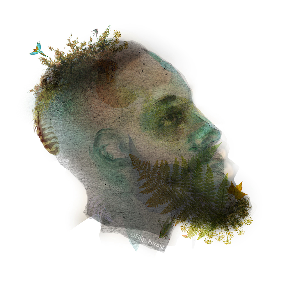 Artist Turns James Harden's Face Into Masterpieces