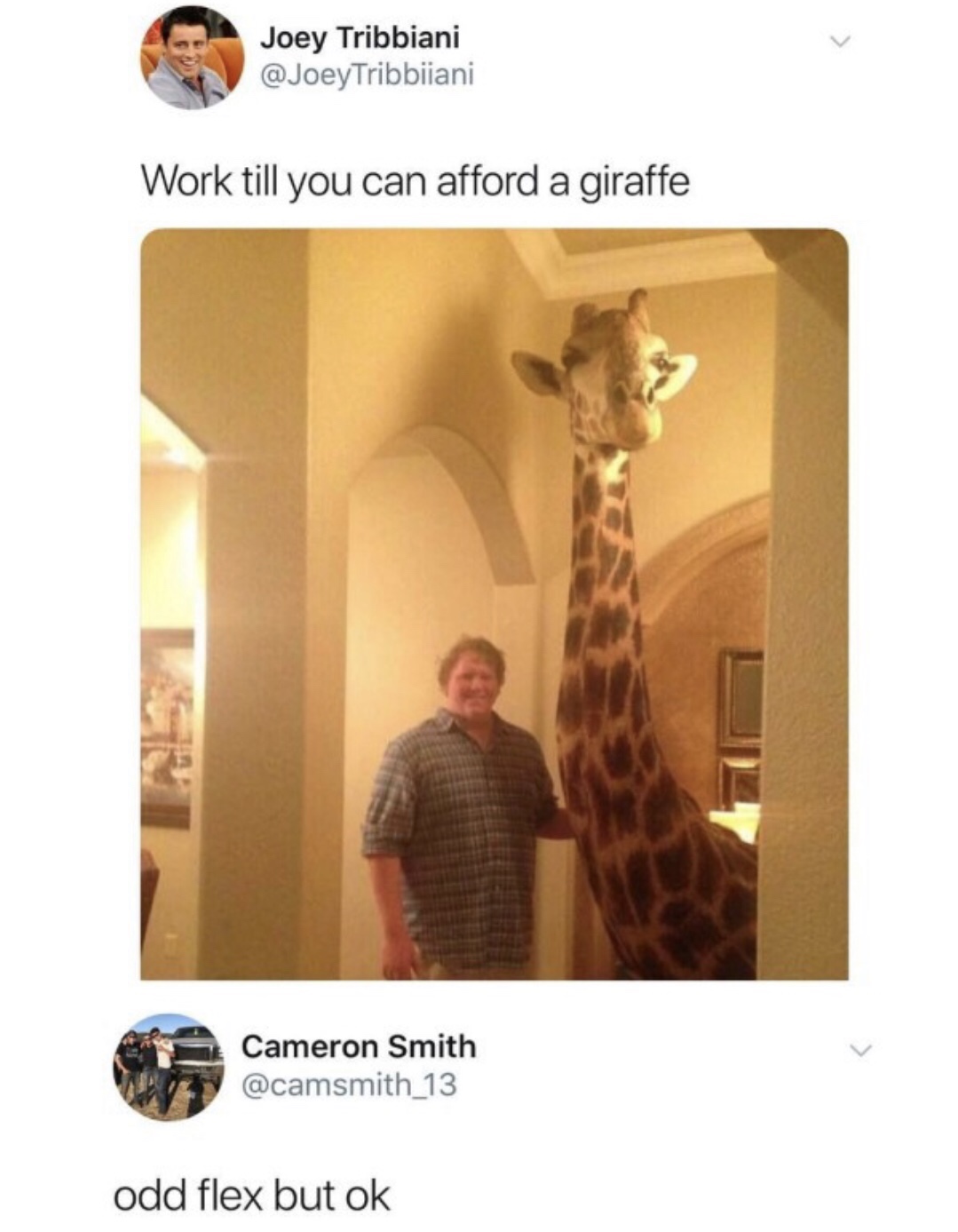 funny memes Joey from Friends meme of an odd flex but ok meme - Joey Tribbiani Tribbiiani Work till you can afford a giraffe Cameron Smith odd flex but ok