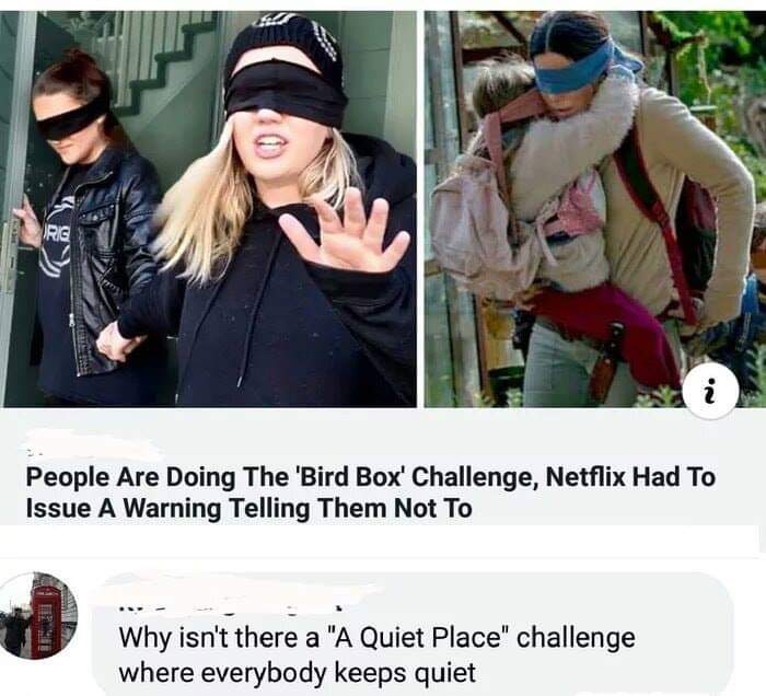 funny meme of bird box challenge - People Are Doing The 'Bird Box' Challenge, Netflix Had To Issue A Warning Telling Them Not To Why isn't there a "A Quiet Place" challenge where everybody keeps quiet