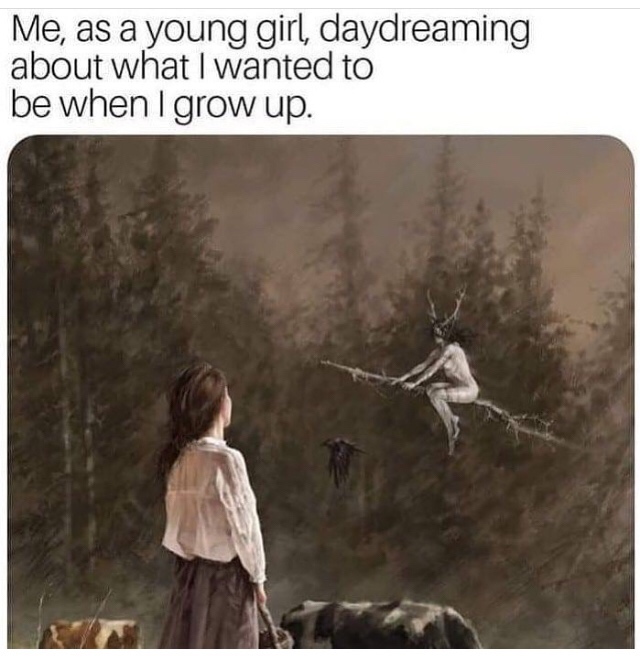 funny meme of if i only could by jakub rozalski - Me, as a young girl, daydreaming about what I wanted to be when I grow up.