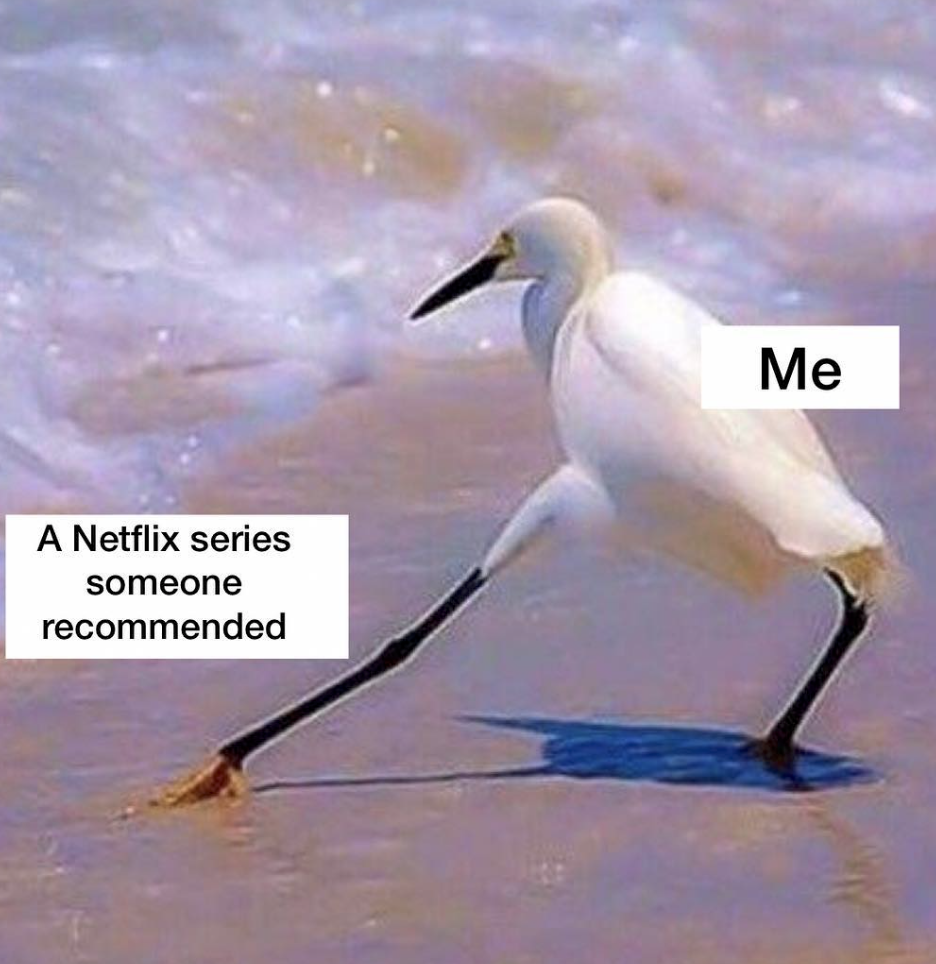 netflix recommendations meme - Me A Netflix series someone recommended