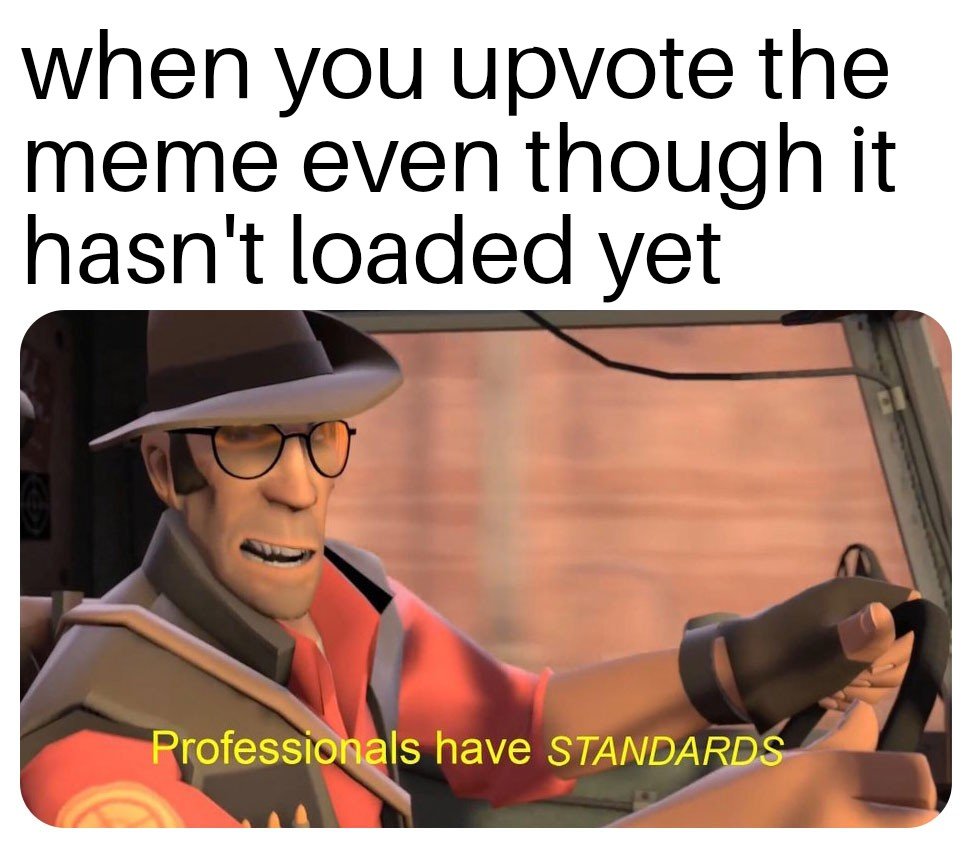 professionals have standards - when you upvote the meme even though it hasn't loaded yet Professionals have Standards