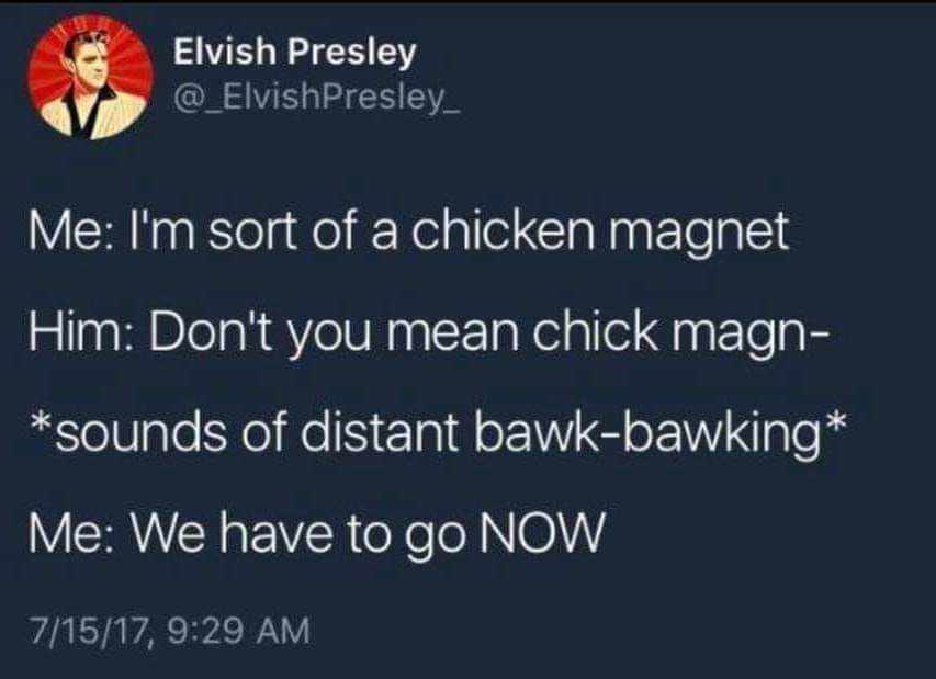 presentation - Elvish Presley Me I'm sort of a chicken magnet Him Don't you mean chick magn sounds of distant bawkbawking Me We have to go Now 71517,