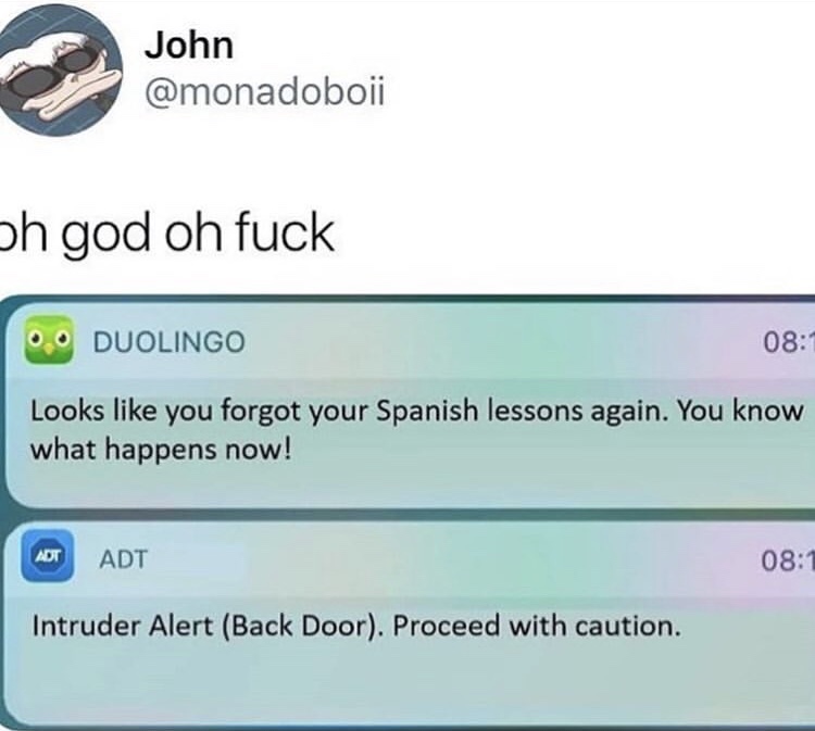 duolingo you know what happens now - John Oh god oh fuck 0.9 Duolingo Looks you forgot your Spanish lessons again. You know what happens now! Adt Adt Intruder Alert Back Door. Proceed with caution.
