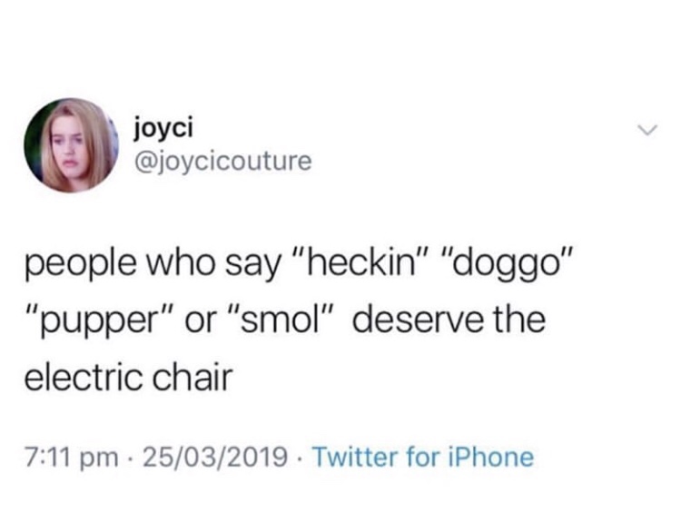 joyci people who say "heckin" "doggo" "pupper" or "smol" deserve the electric chair 25032019. Twitter for iPhone