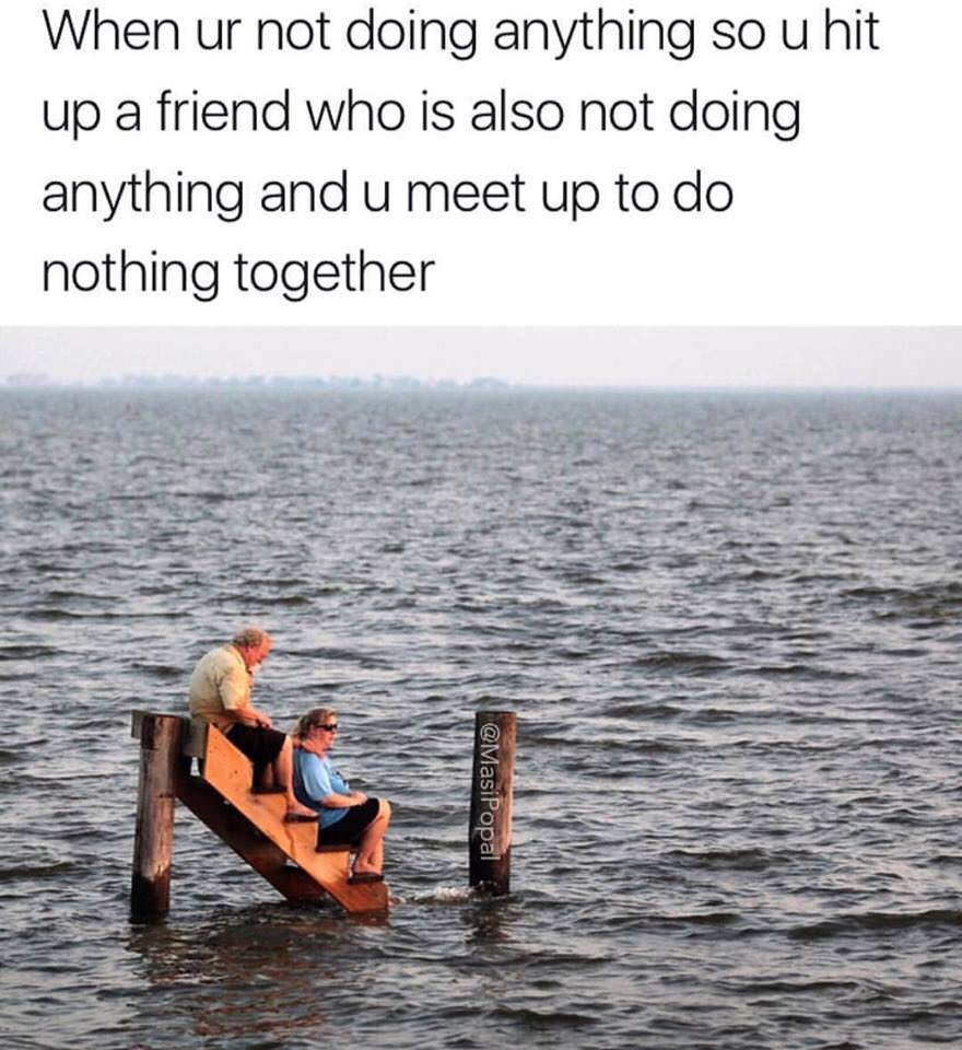 meme sitting on the dock of the bay - When ur not doing anything so u hit up a friend who is also not doing anything and u meet up to do nothing together