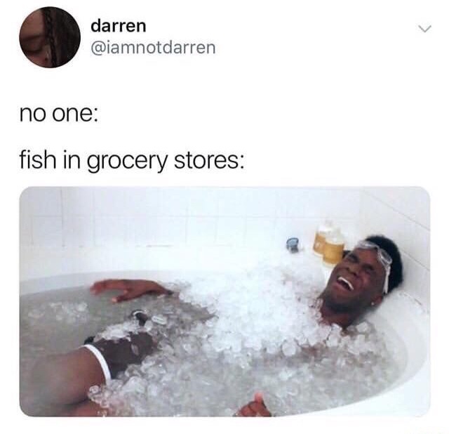 meme no one fish in grocery stores meme - darren no one fish in grocery stores
