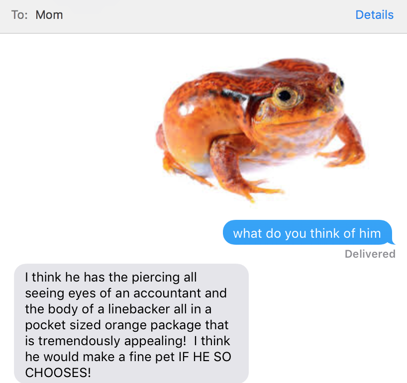 meme does my mom think of frogs - To Mom Details what do you think of him Delivered I think he has the piercing all seeing eyes of an accountant and the body of a linebacker all in a pocket sized orange package that is tremendously appealing! I think he w