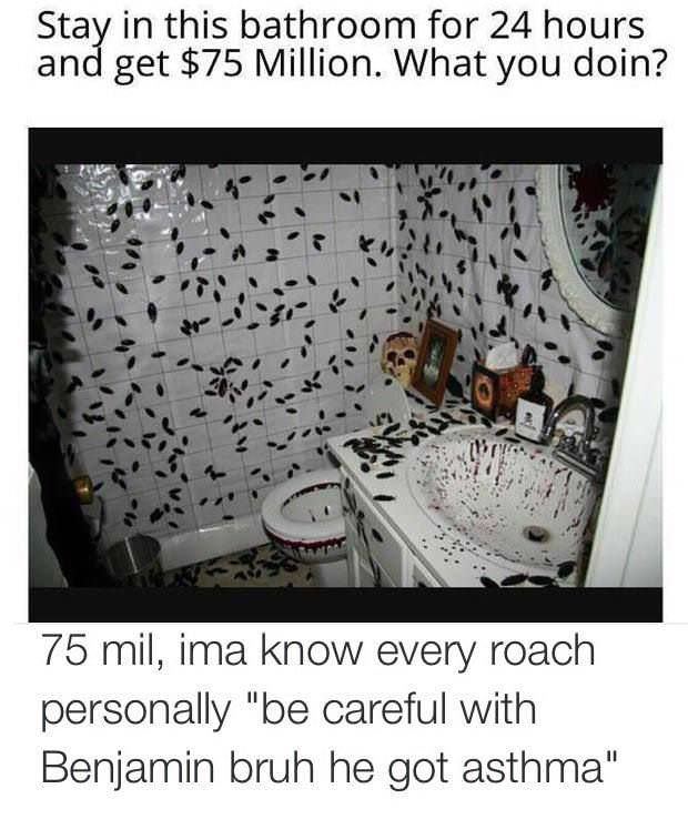 meme room full of cockroaches - Stay in this bathroom for 24 hours and get $75 Million. What you doin? 75 mil, ima know every roach personally