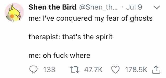 Funny meme - document - Shen the Bird ... Jul 9 me I've conquered my fear of ghosts therapist that's the spirit me oh fuck where 133 12 I