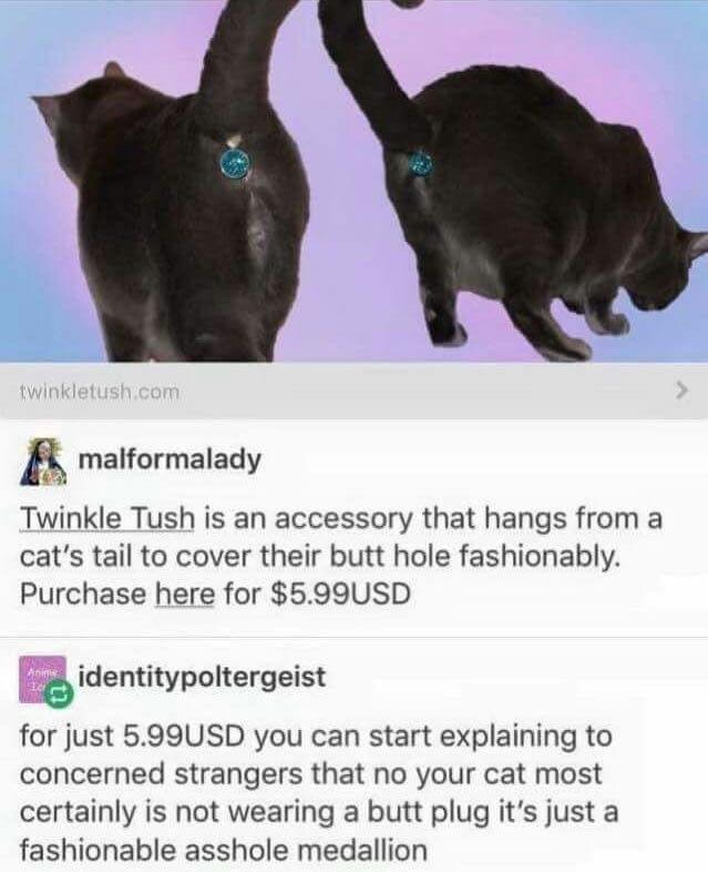 Funny meme - cat ass medallion - twinkletush.com malformalady Twinkle Tush is an accessory that hangs from a cat's tail to cover their butt hole fashionably. Purchase here for $5.99USD apma, identitypoltergeist for just 5.99USD you can start explaining to
